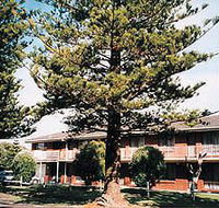 Eastern Beach Holiday Units - Yamba Accommodation