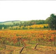 Byramgou Park - Yamba Accommodation