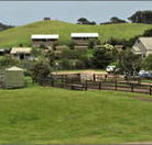 Ace Hi Riding Ranch - Yamba Accommodation
