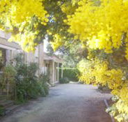Surfcoast Retreat - Yamba Accommodation