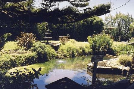 Bayside Gardens - Yamba Accommodation