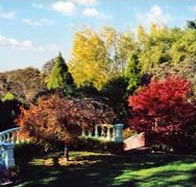 Edgelinks Bed And Breakfast - Yamba Accommodation