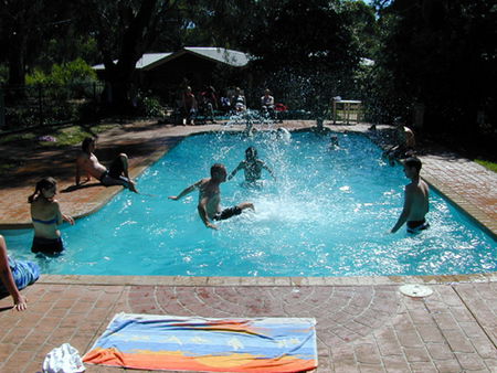 Koala Park Resort - Yamba Accommodation 1