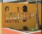 Seahorse Motel - Yamba Accommodation 1