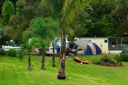 Albany Happy Days Caravan Park - Yamba Accommodation 2