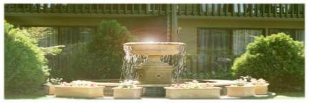 Best Western Tall Trees Motel - Yamba Accommodation 2