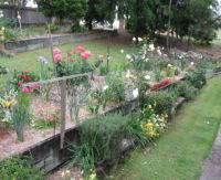 Maudsland QLD Yamba Accommodation