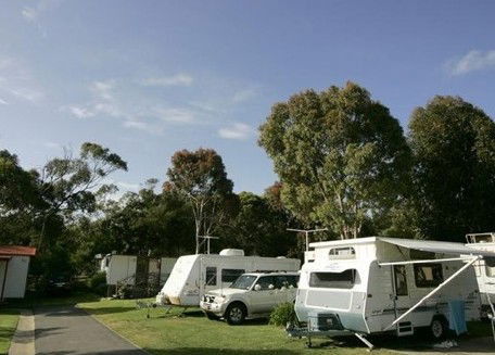 Big4 Anglesea Holiday Park - Yamba Accommodation 0