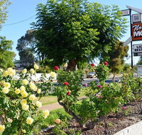 Narrogin Motel - Yamba Accommodation