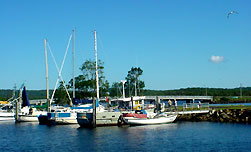 Evans Head Pacific Motel - Yamba Accommodation 4