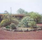 Beaufort Motel - Yamba Accommodation