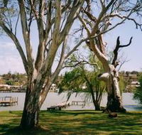 Shack 31 Bolto Reserve - Yamba Accommodation