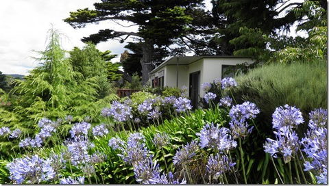 Tamar River Retreat - Yamba Accommodation 5