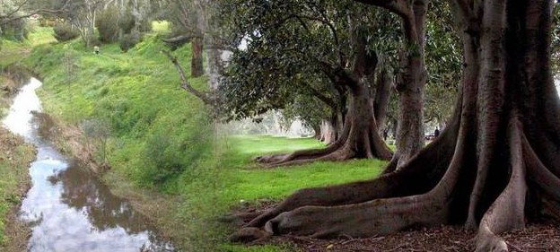 Gawler SA Yamba Accommodation