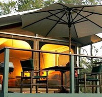 Jabiru Safari Lodge at Mareeba Wetlands - Yamba Accommodation
