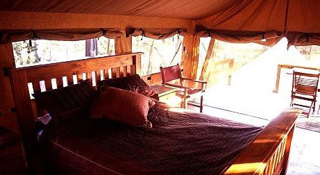 Jabiru Safari Lodge At Mareeba Wetlands - Yamba Accommodation 1