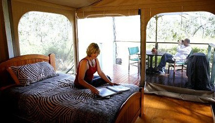 Jabiru Safari Lodge At Mareeba Wetlands - Yamba Accommodation 2