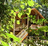 Rivers Edge Rainforest Retreat - Yamba Accommodation