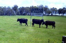  Yamba Accommodation