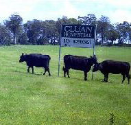 Cluan Homestead - The Managers Residence - Yamba Accommodation