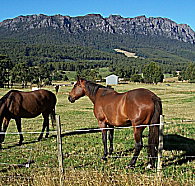 Hurlfield Farm Cottage - Yamba Accommodation