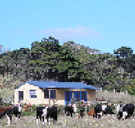 Marrawah Beach House - Yamba Accommodation
