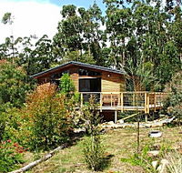Southern Forest Accommodation - Yamba Accommodation