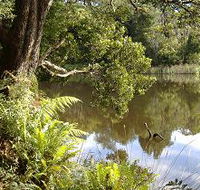 Weldborough Camping Ground - Yamba Accommodation