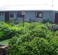 Engadine Cottage - Yamba Accommodation