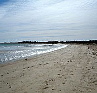 Greens Beach Caravan Park - Yamba Accommodation