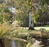 Northeast Park - Yamba Accommodation