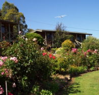Mole Creek Holiday Village - Yamba Accommodation
