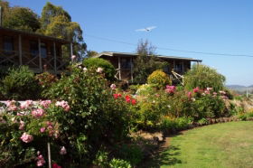 Mole Creek Holiday Village - Yamba Accommodation 0