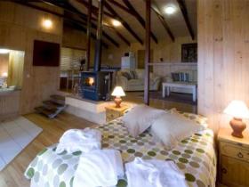 Treetops Seaview Montville - Yamba Accommodation 0
