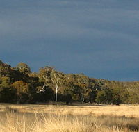 Namadgi National Park - Yamba Accommodation