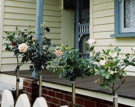 Rose Cottage Bed & Breakfast - Yamba Accommodation 3