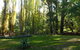 Old England Accommodation - thumb 2