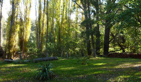 Old England Accommodation - Yamba Accommodation 2