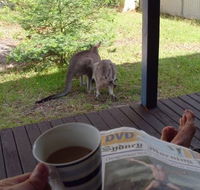 Bush and Bay Cottage - Yamba Accommodation