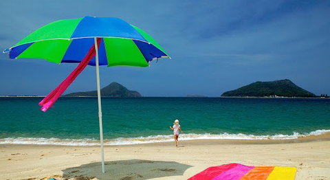 Shoal Bay Holiday Park - Port Stephens - Yamba Accommodation 1