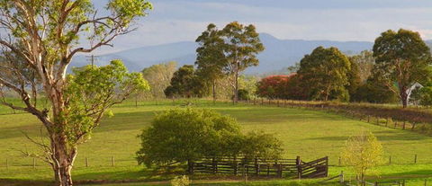 Barrington Village Retreat Bed And Breakfast - Yamba Accommodation 1