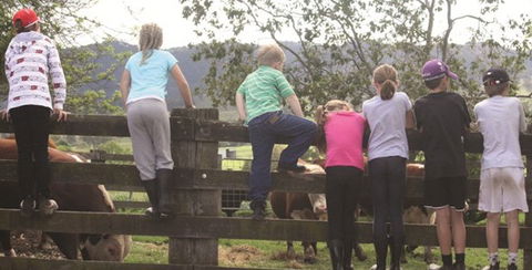 Ashmar Farm Stay - Yamba Accommodation 4