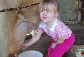 Ashmar Farm Stay - Yamba Accommodation 5