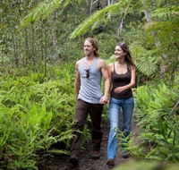 Blackheath Glen Tourist Park - Yamba Accommodation