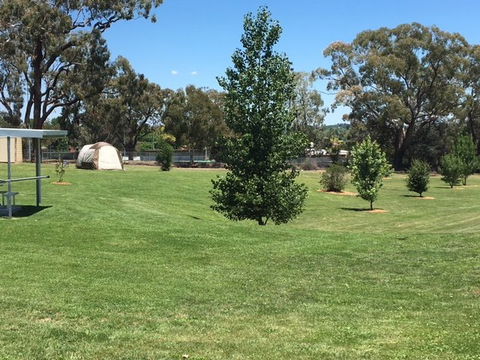 Canobolas Caravan Park - Yamba Accommodation 3