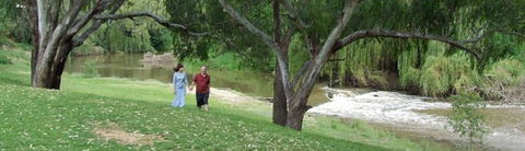 Apex Riverside Tourist Park - Yamba Accommodation 4