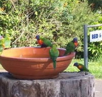 Lamb Island Bed and Breakfast - Yamba Accommodation