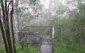 Eagles Rest Retreat - Yamba Accommodation 4