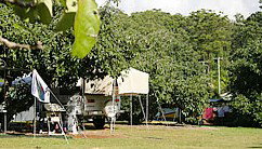 Lilyponds Holiday Park - Yamba Accommodation 4