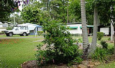 Lilyponds Holiday Park - Yamba Accommodation 5